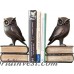 Loon Peak Owl on Book Bookends Set LOPK1859